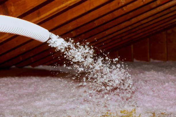  Vass, NC Insulation Contractor Pros