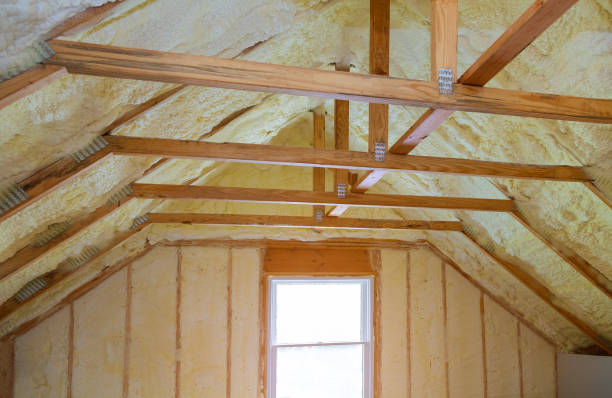 Best Insulation Contractors for Homes  in Vass, NC