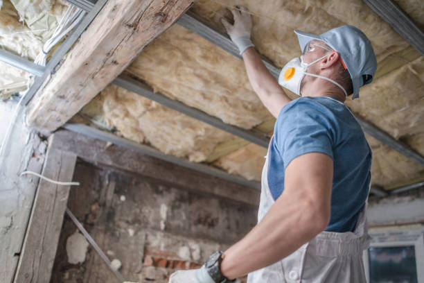 Best Professional Insulation Contractor  in Vass, NC