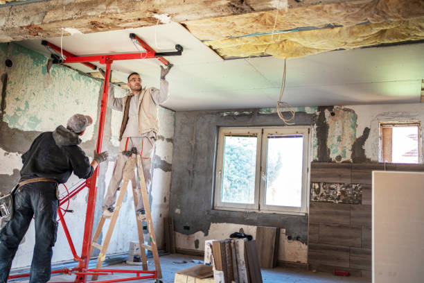 Best Commercial Insulation Contractor  in Vass, NC