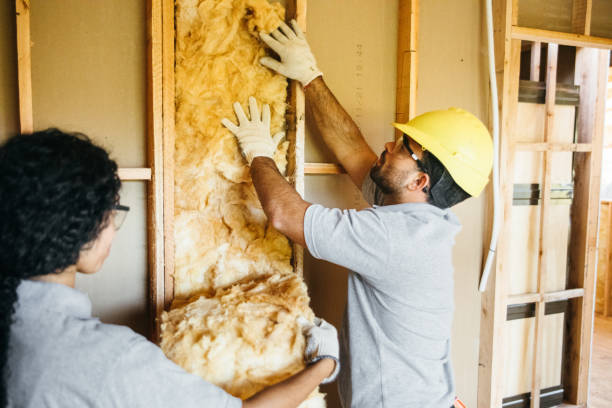 Best Energy-efficient Insulation  in Vass, NC