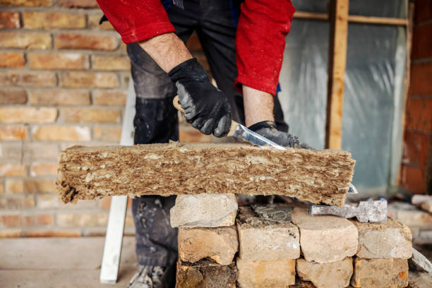 Best Cellulose Insulation  in Vass, NC